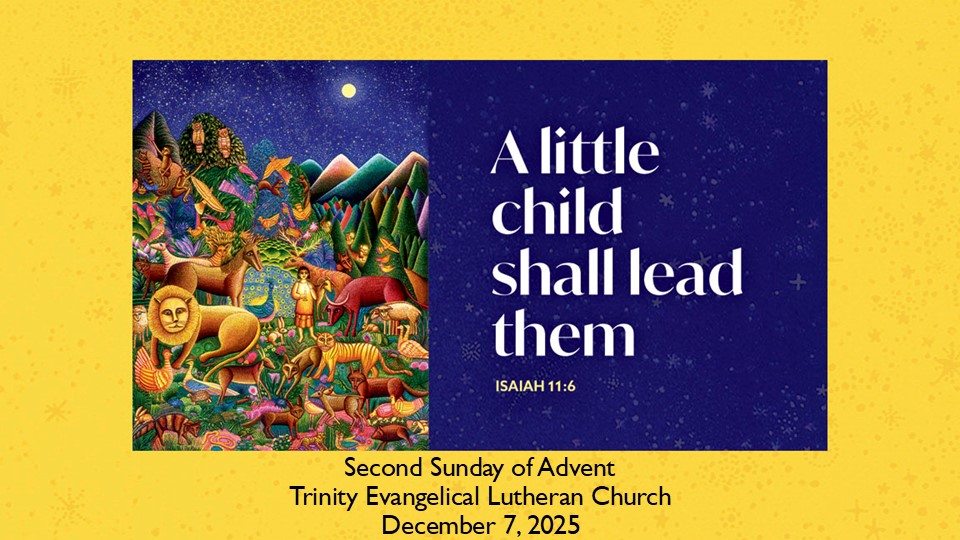 image-1014483-December 7_PPTx-d3d94.jpg